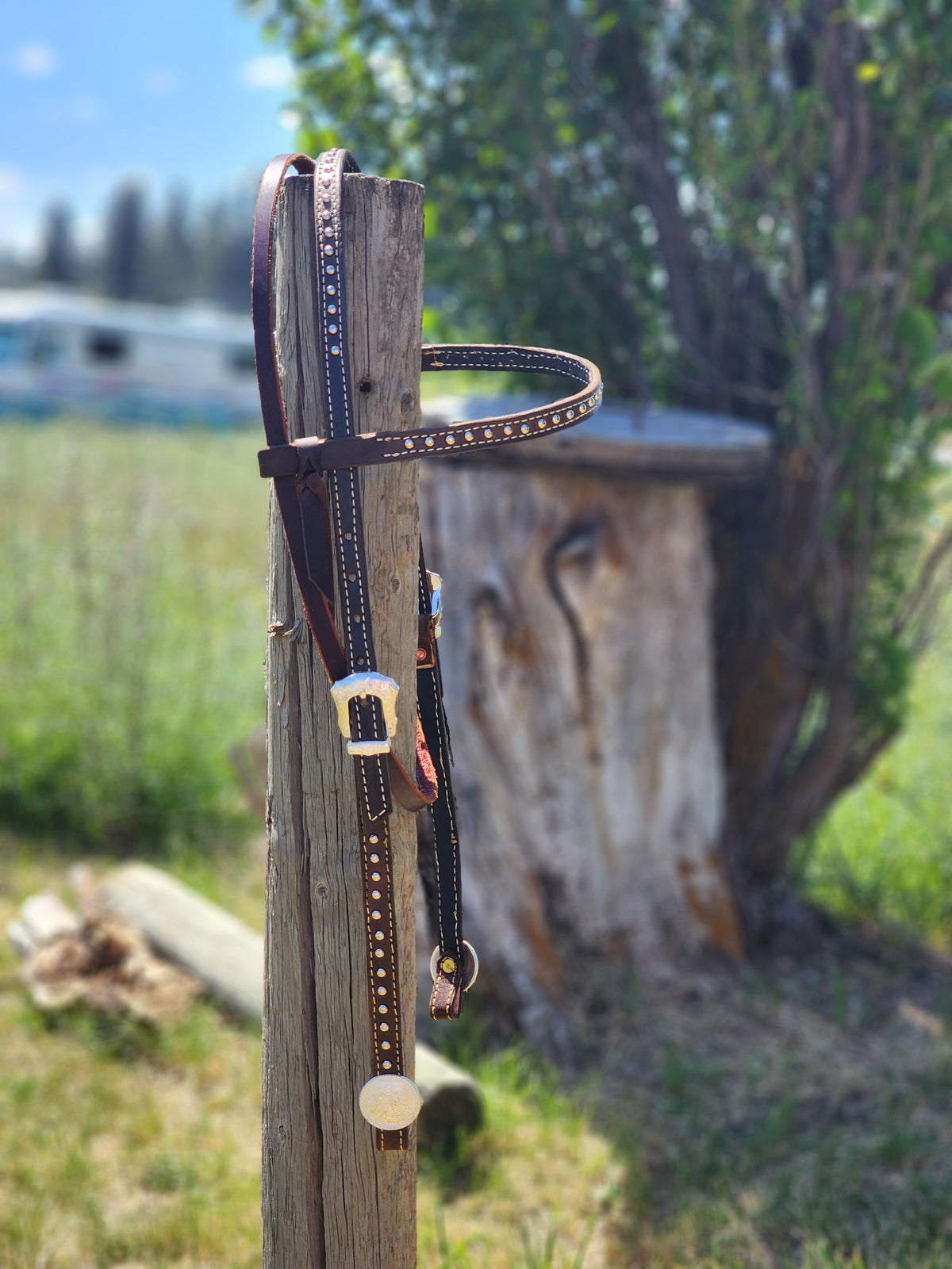 Spotted Draft Headstall