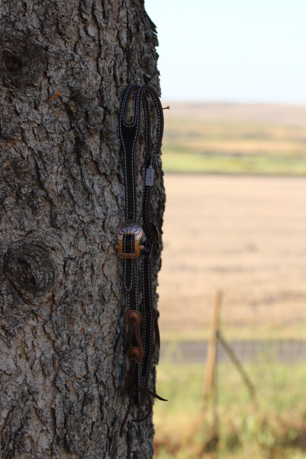 Black Headstall with copper accent