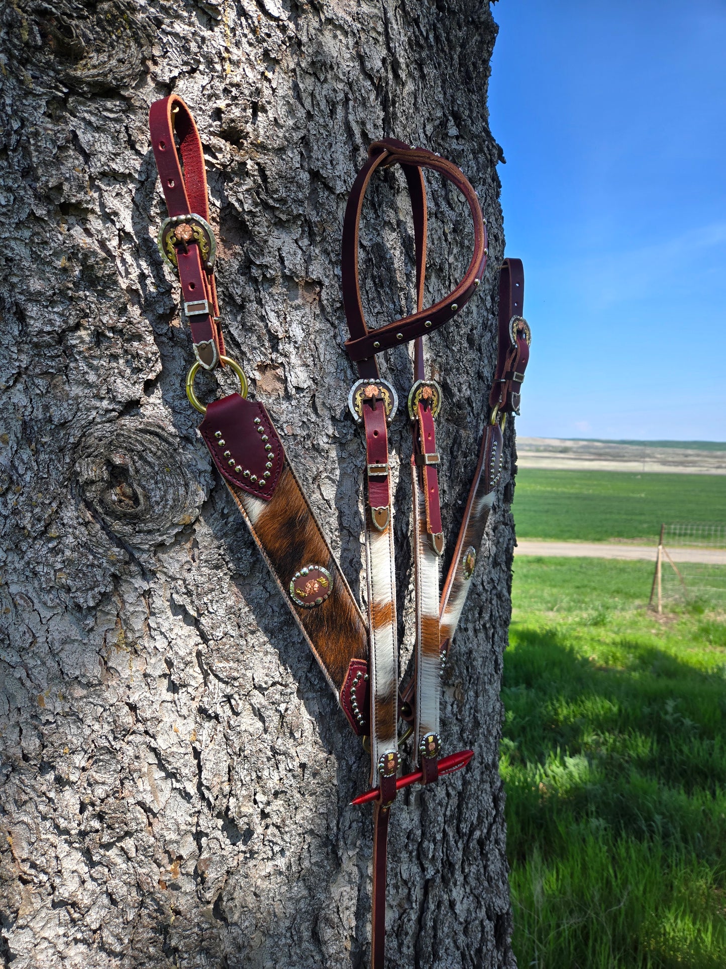 Cow Hide Custom Tack Set