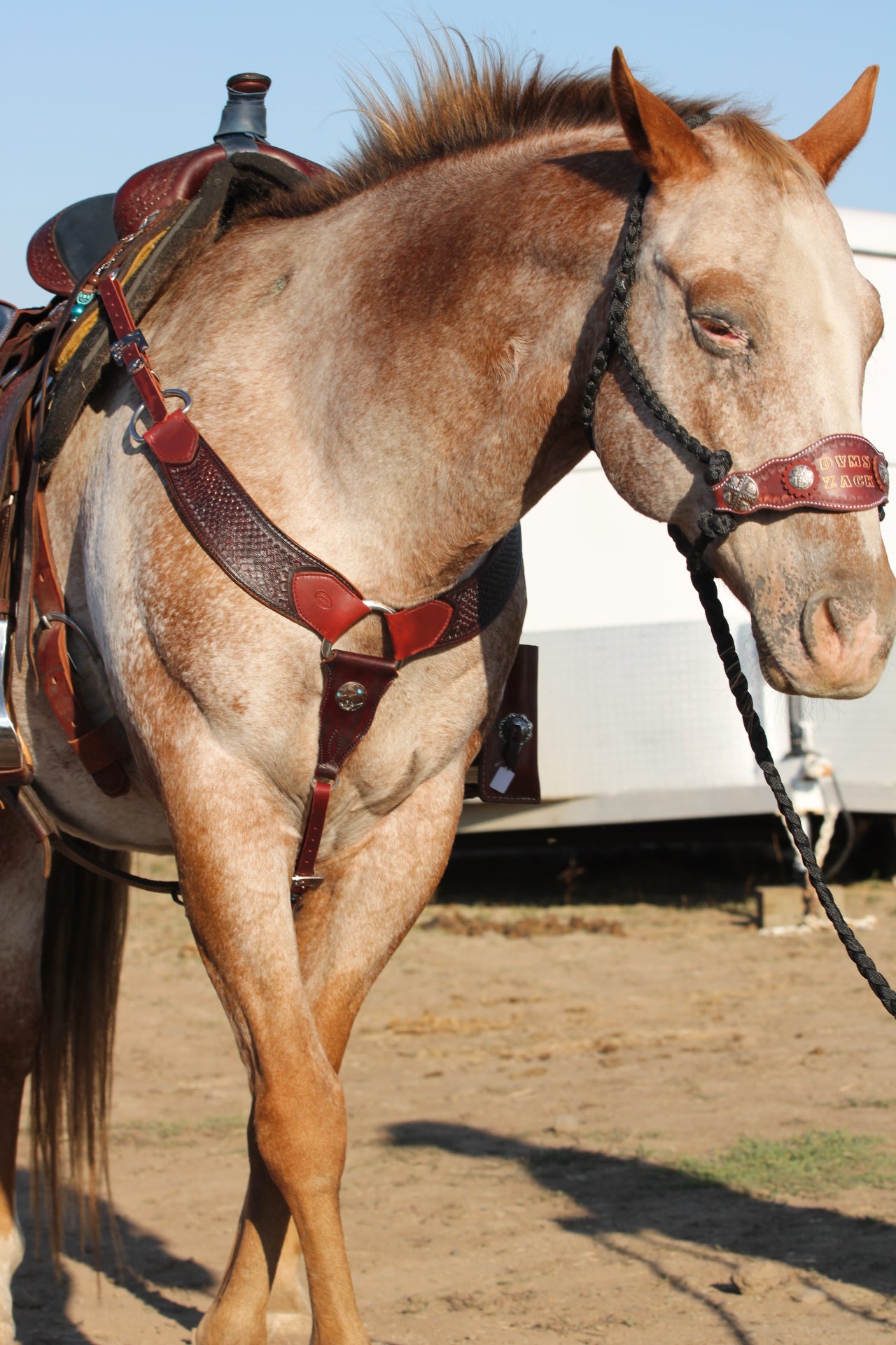 Stamped Roper Breastcollar