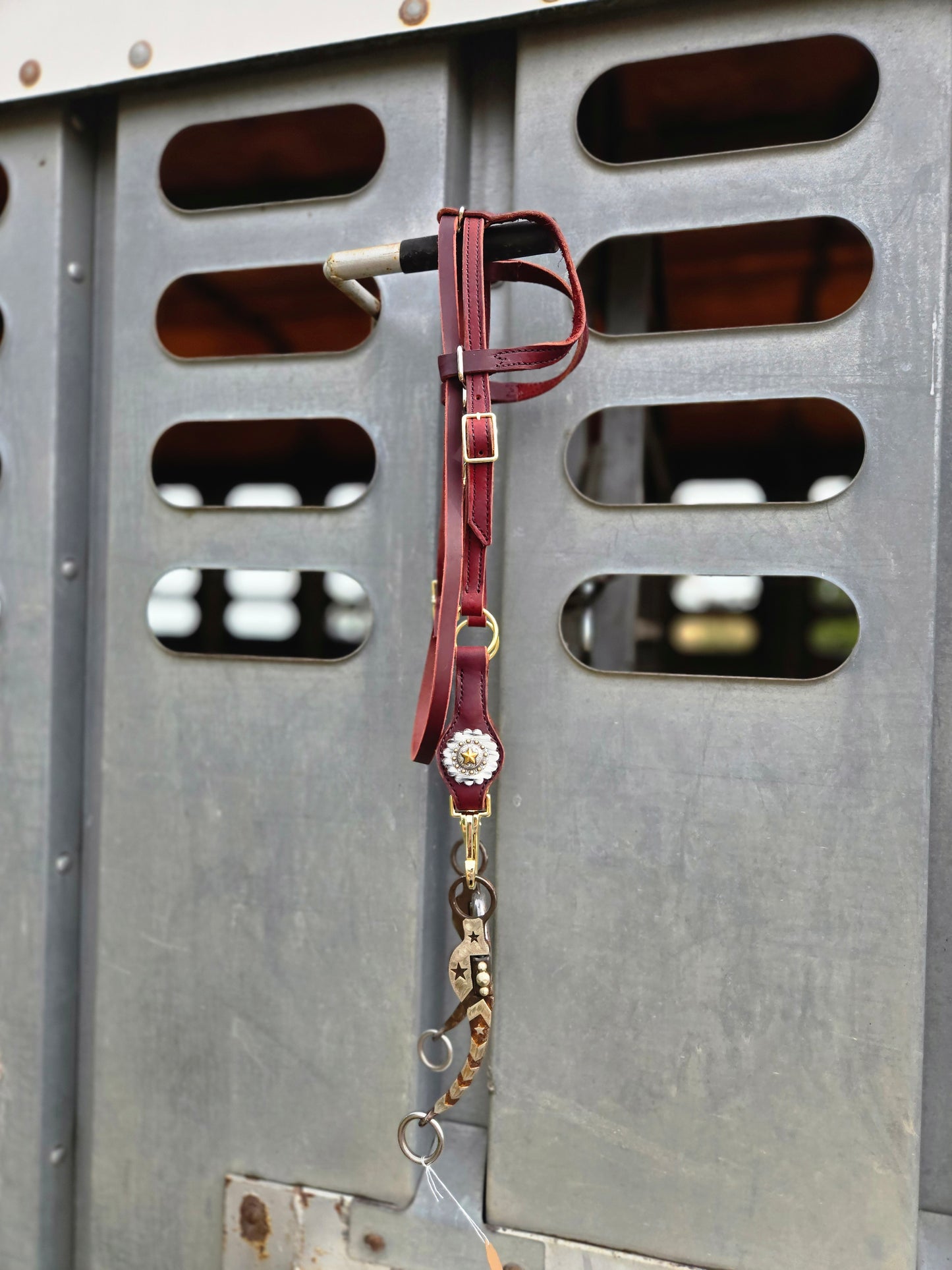 Double Ear Latigo Headstall
