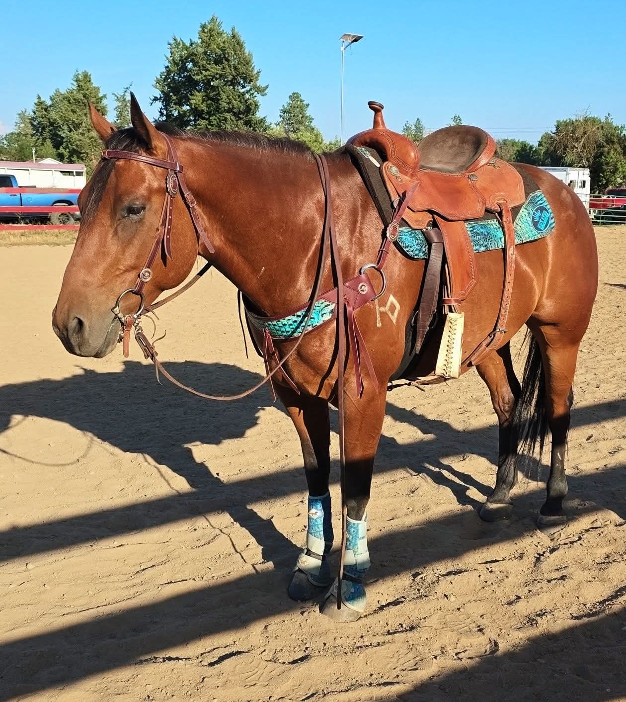 Faux Croc Tripping Collar
