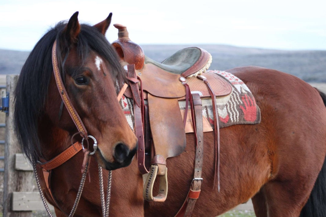 Basketweave Headstall