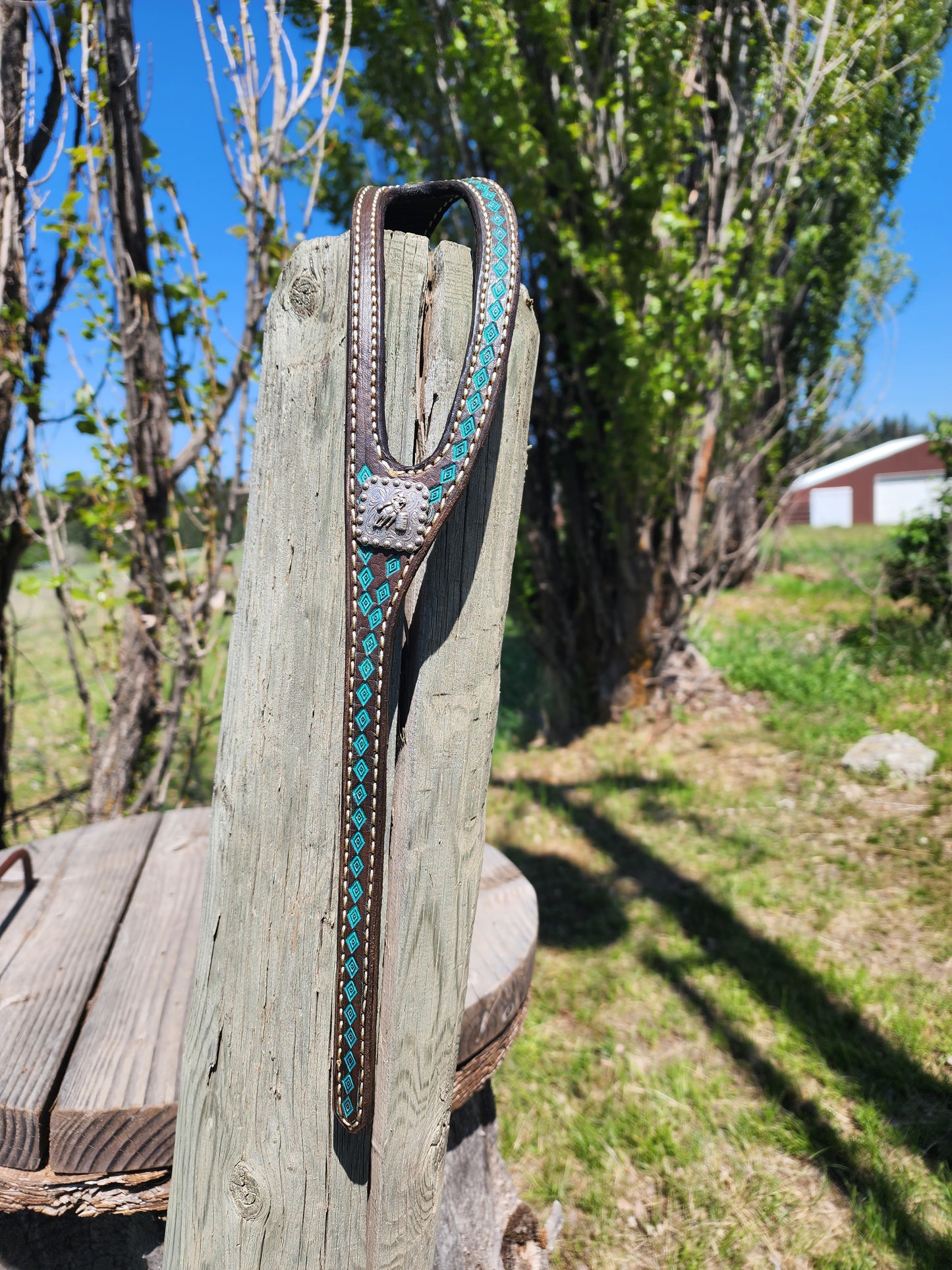 Teal Shaped Headstall