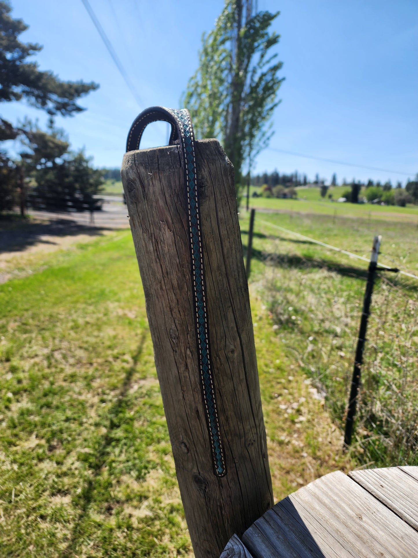 Teal Shaped Headstall