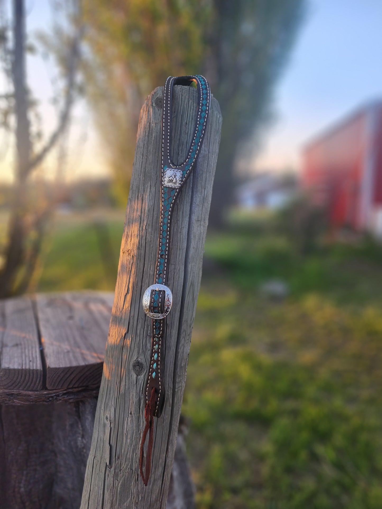 Teal Shaped Headstall