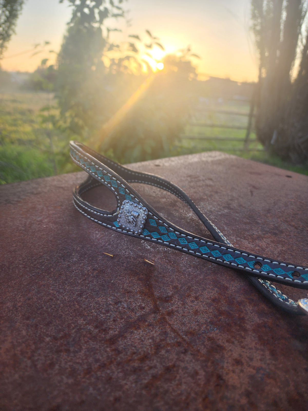 Teal Shaped Headstall