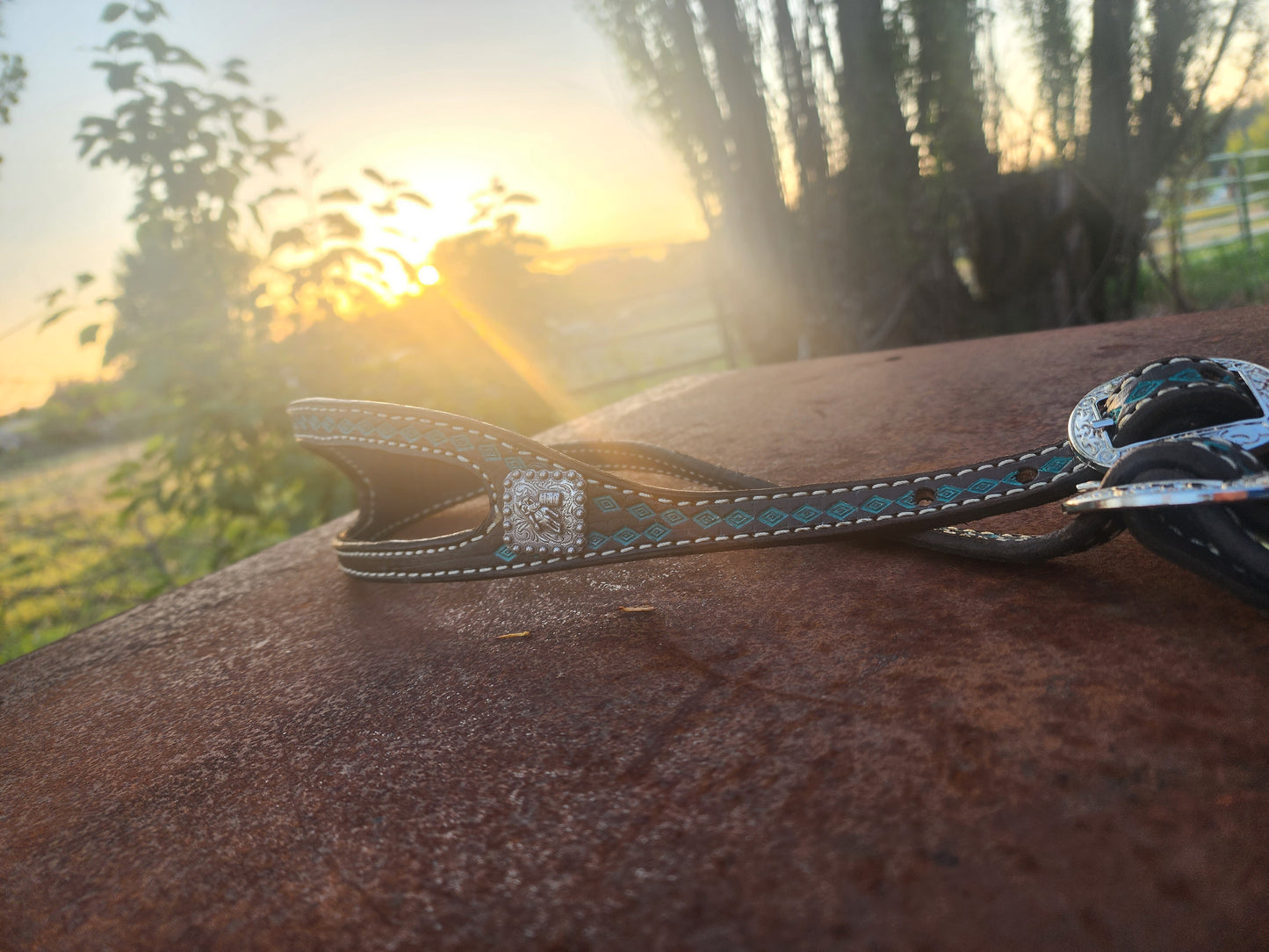Teal Shaped Headstall