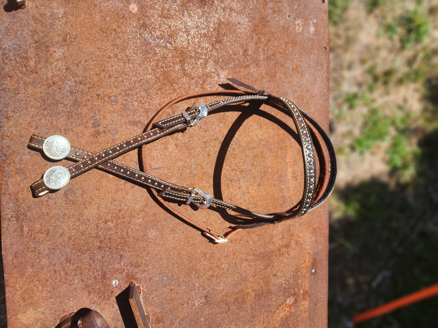 Spotted Draft Headstall