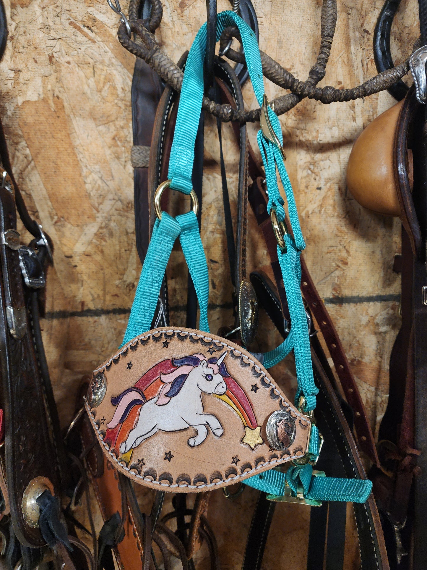 Mini Rainbow Halter