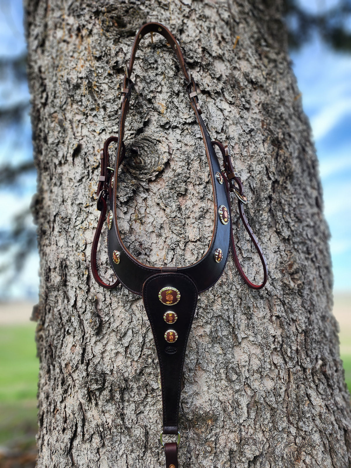 Chocolate Martingale
