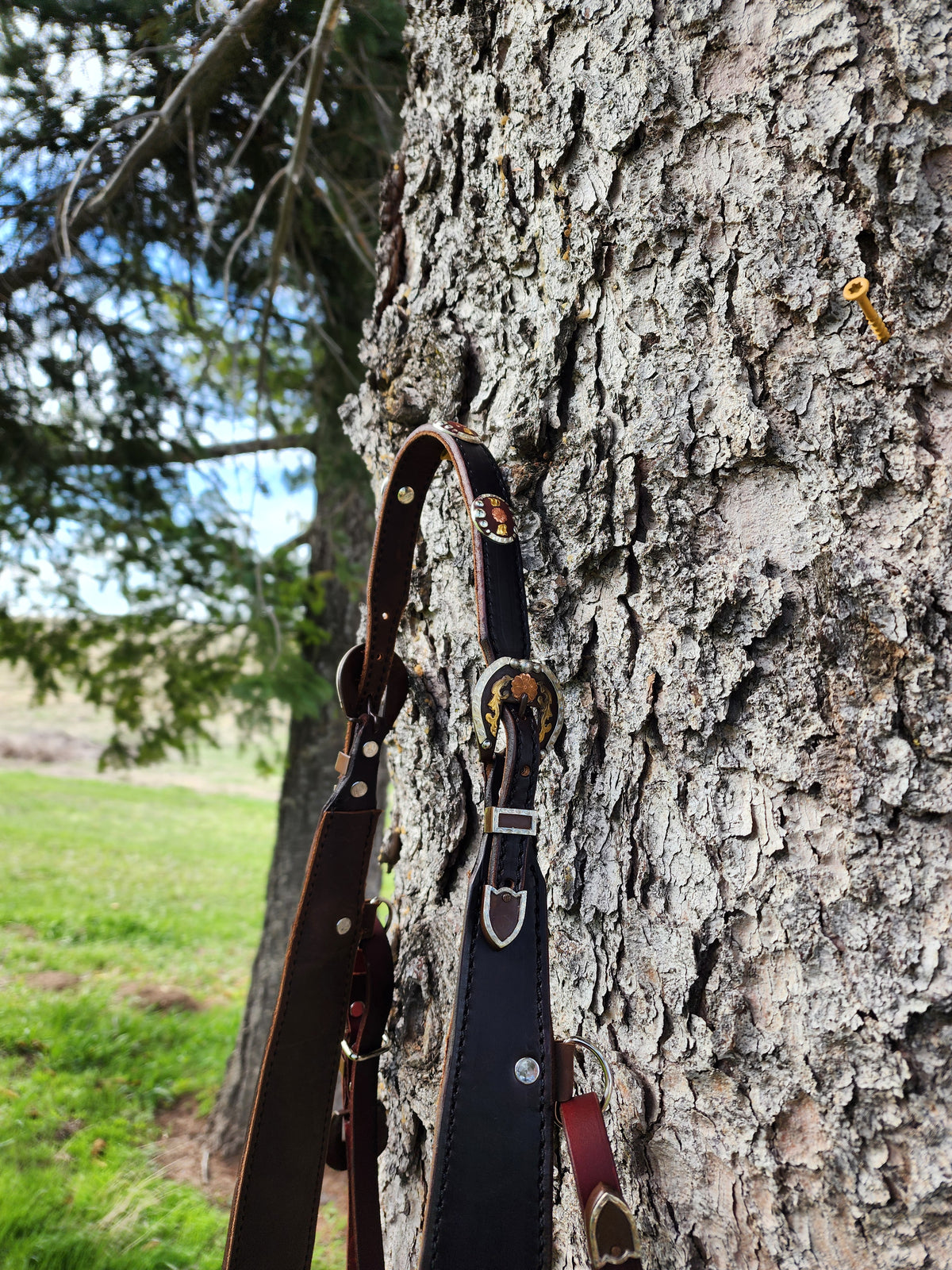 Chocolate Martingale