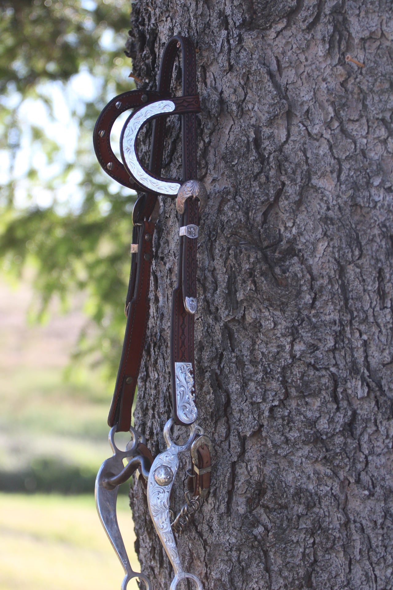 Show Headstall & Bit