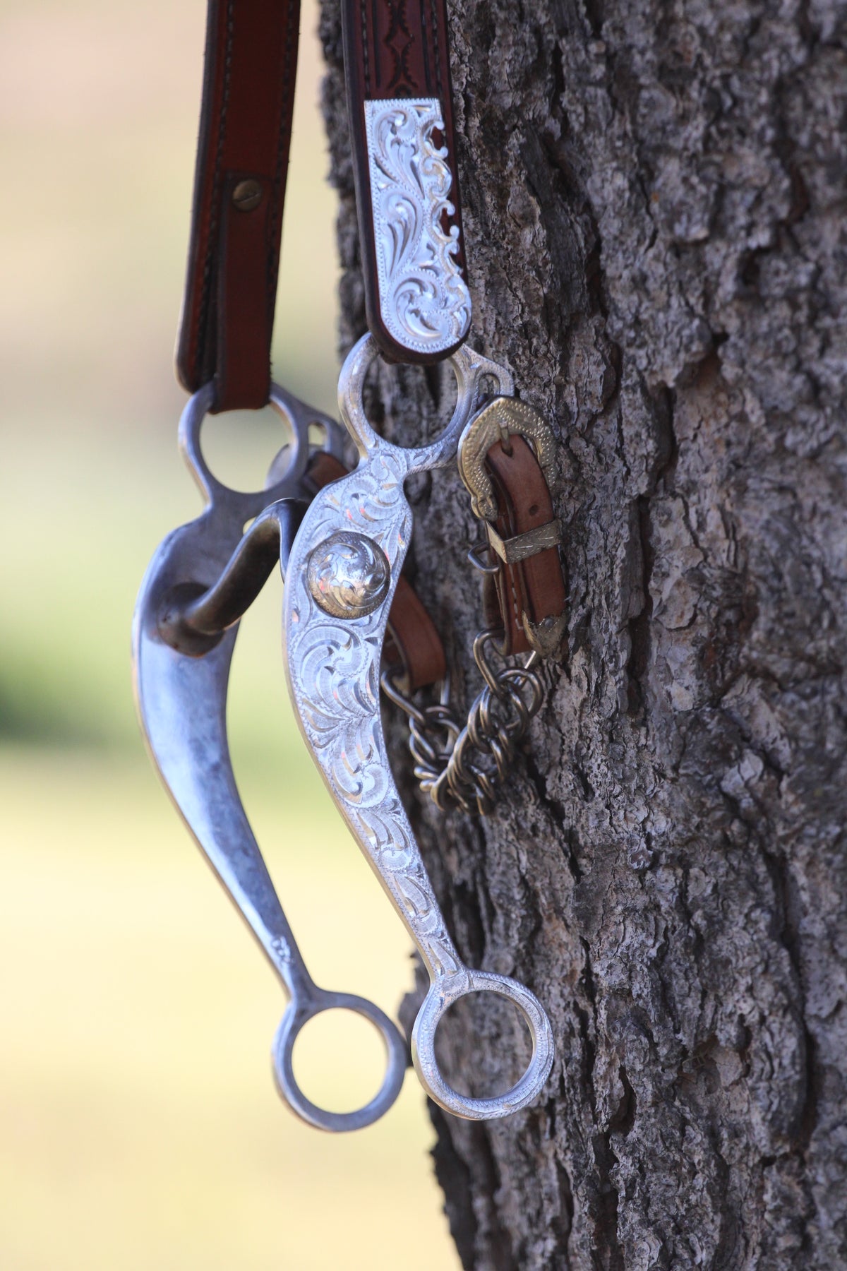 Show Headstall & Bit