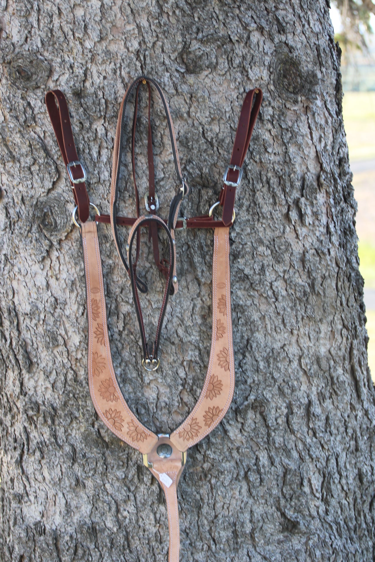 Rough-Out Sunflower Breastcollar