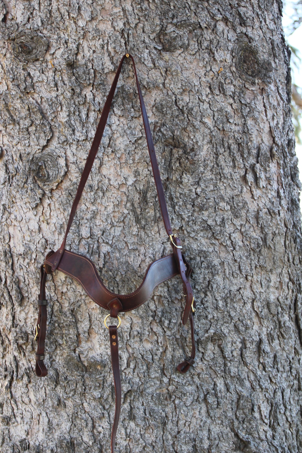 Harness Leather Tripping Collar