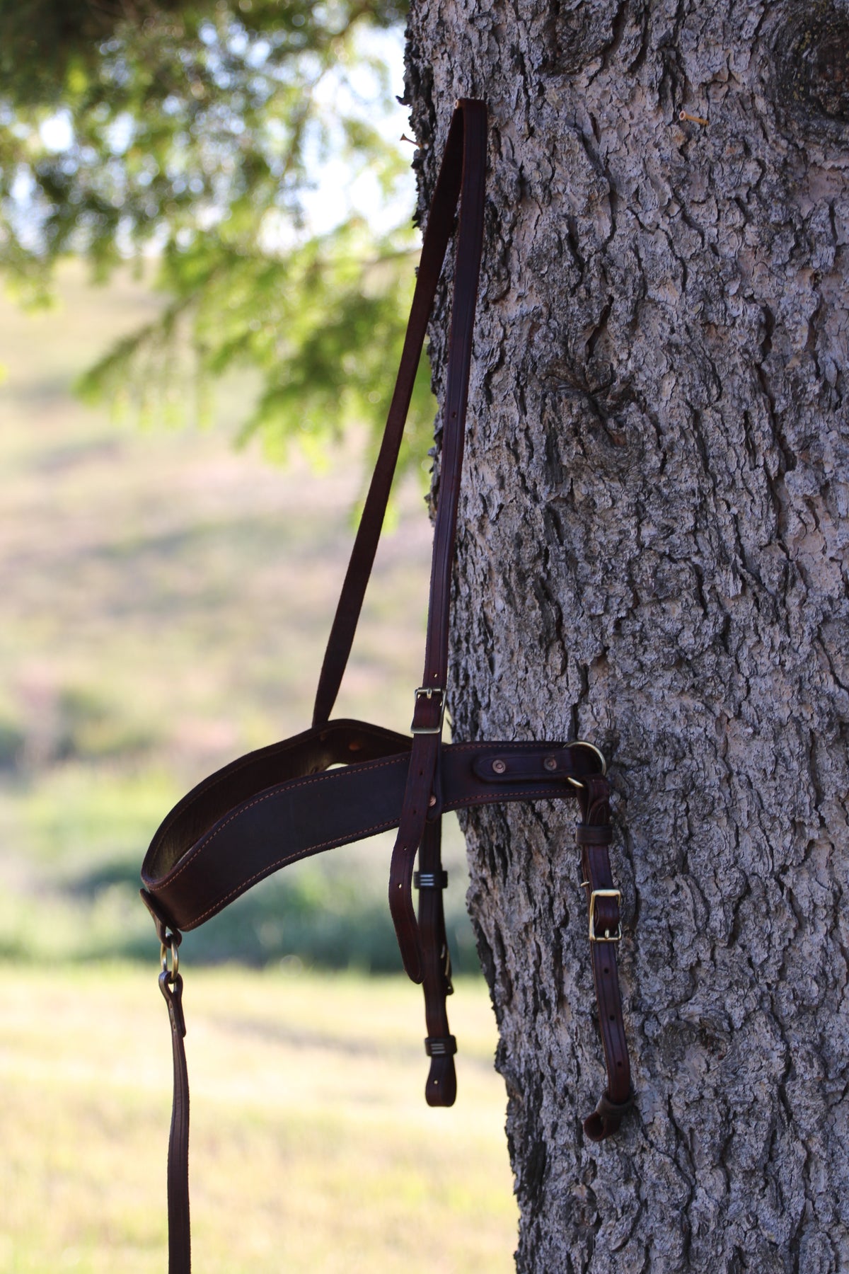 Harness Leather Tripping Collar