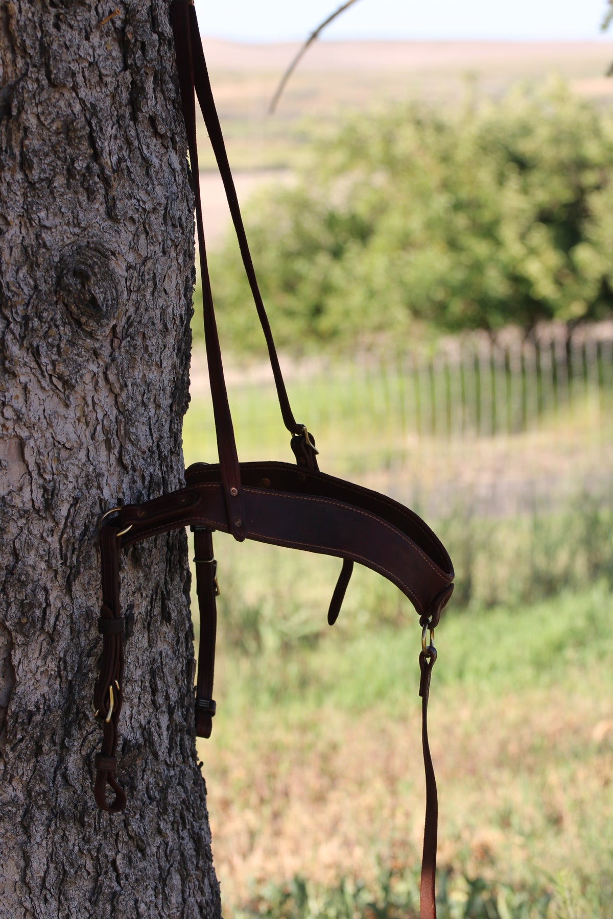 Harness Leather Tripping Collar