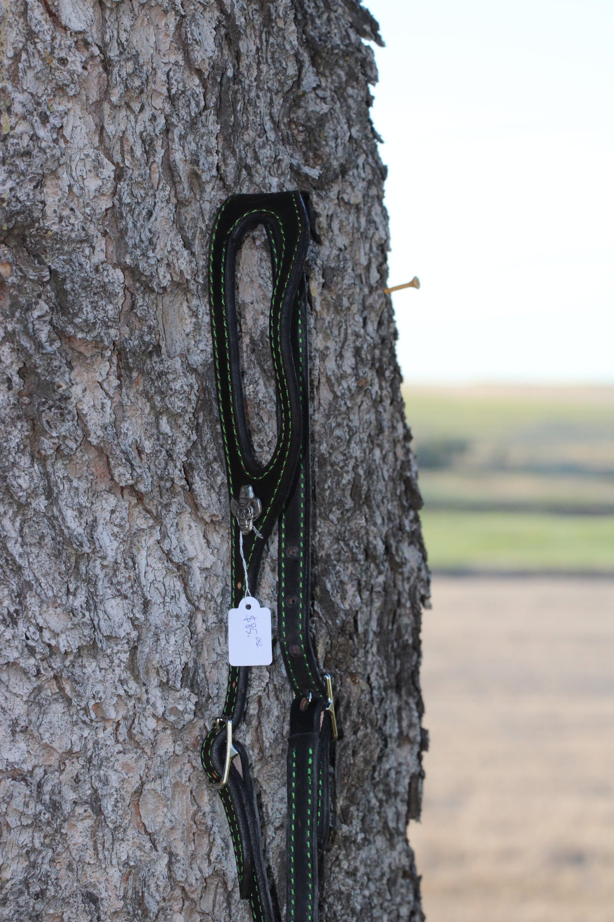 Green Stitched Headstall