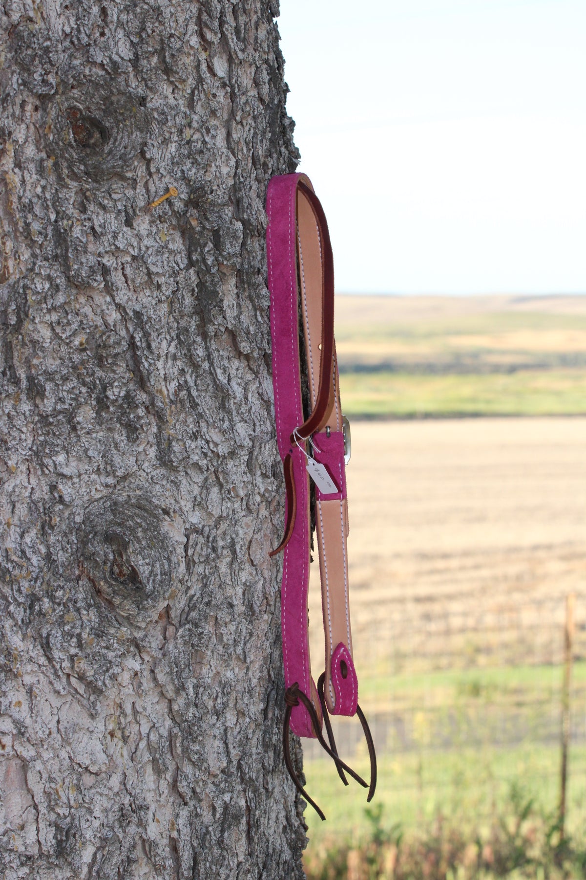 Pink Roughout Headstall
