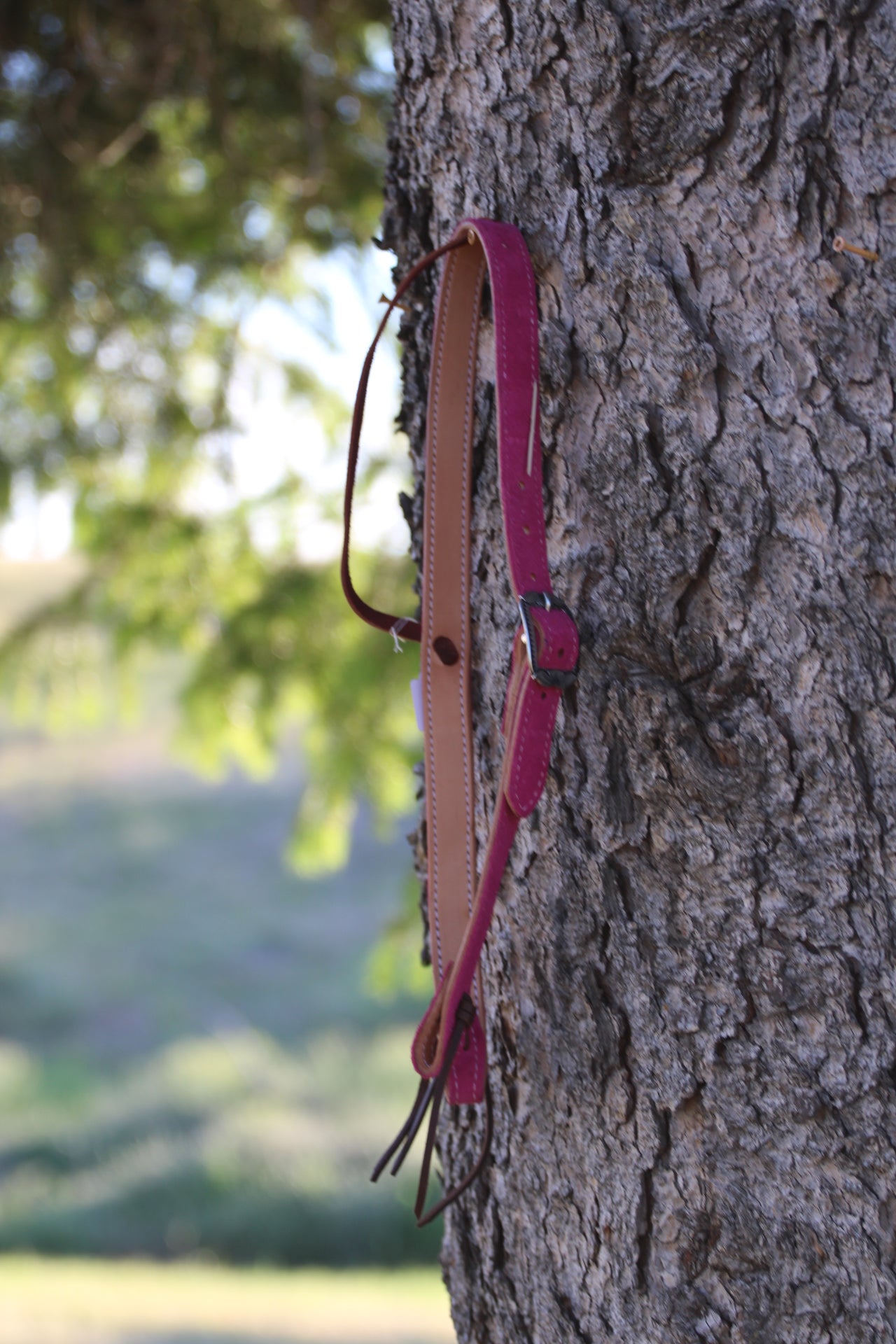 Pink Roughout Headstall