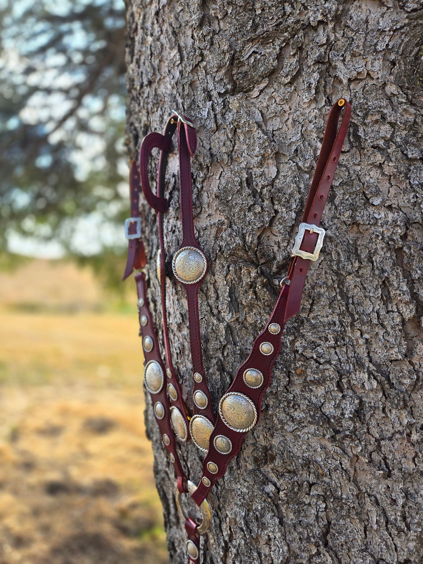 Maroon Large Concho Set