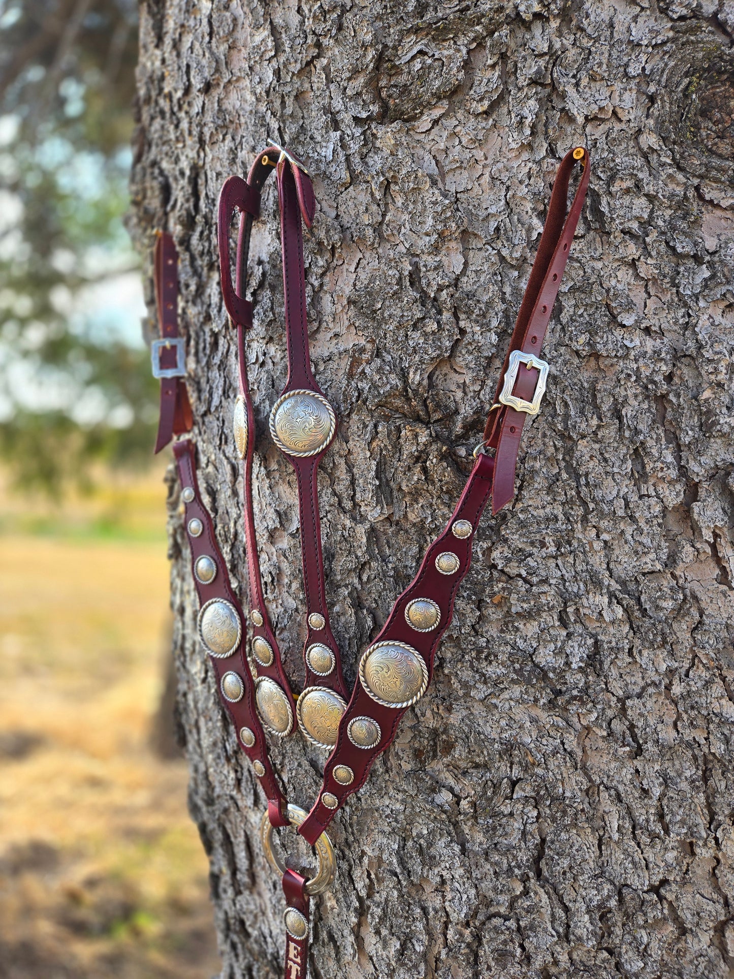 Maroon Large Concho Set