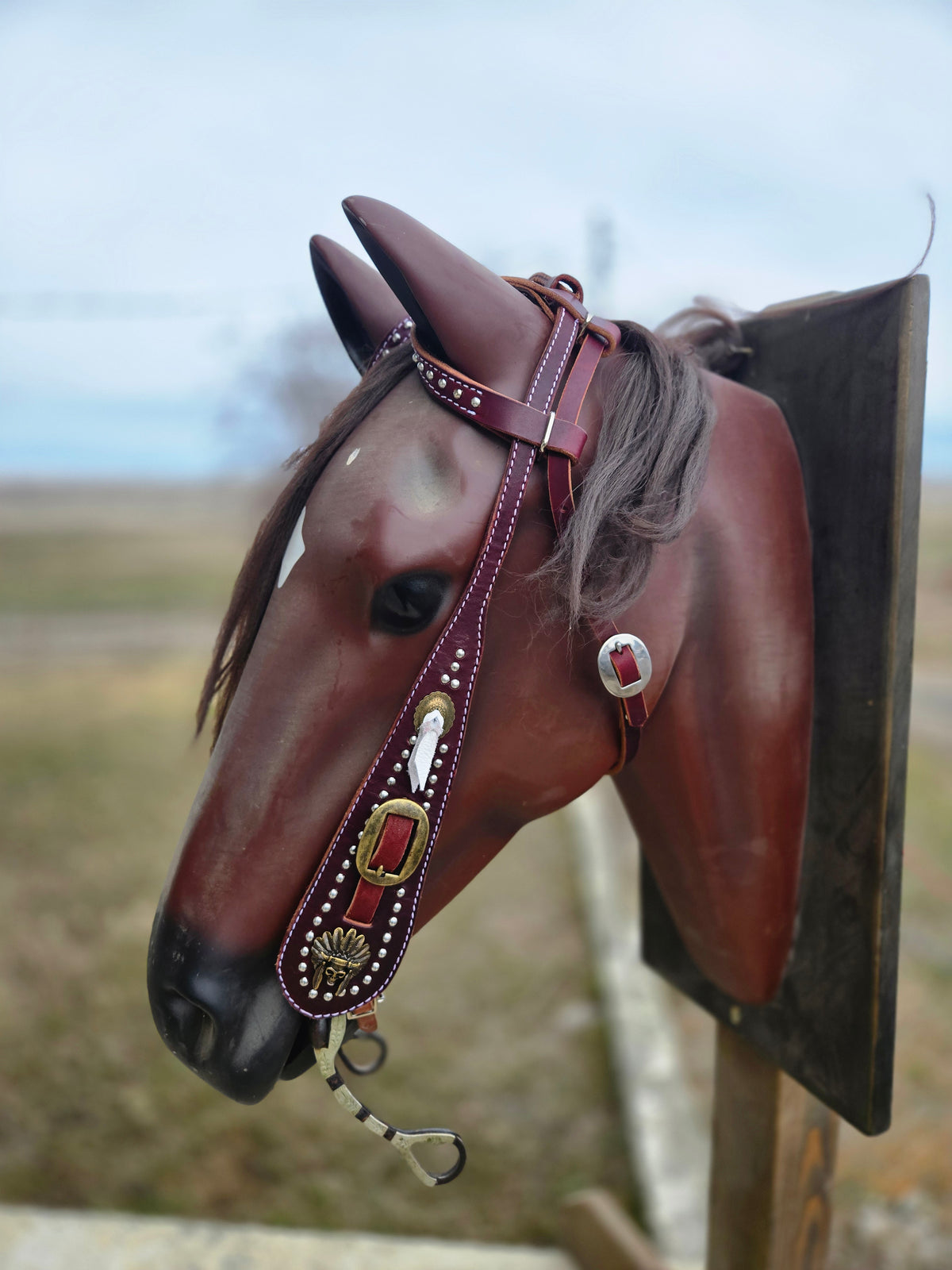 Custom 2 Ear Buckaroo Headstall