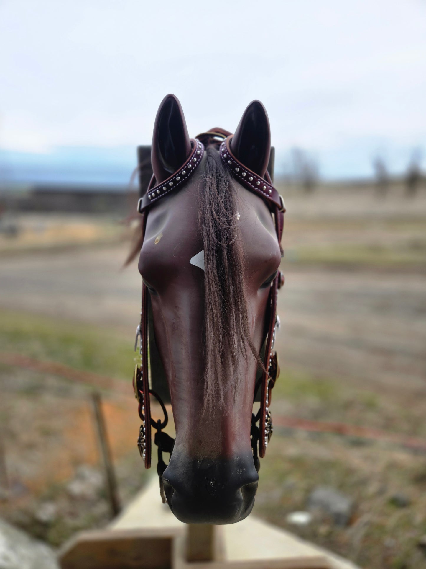 Custom 2 Ear Buckaroo Headstall