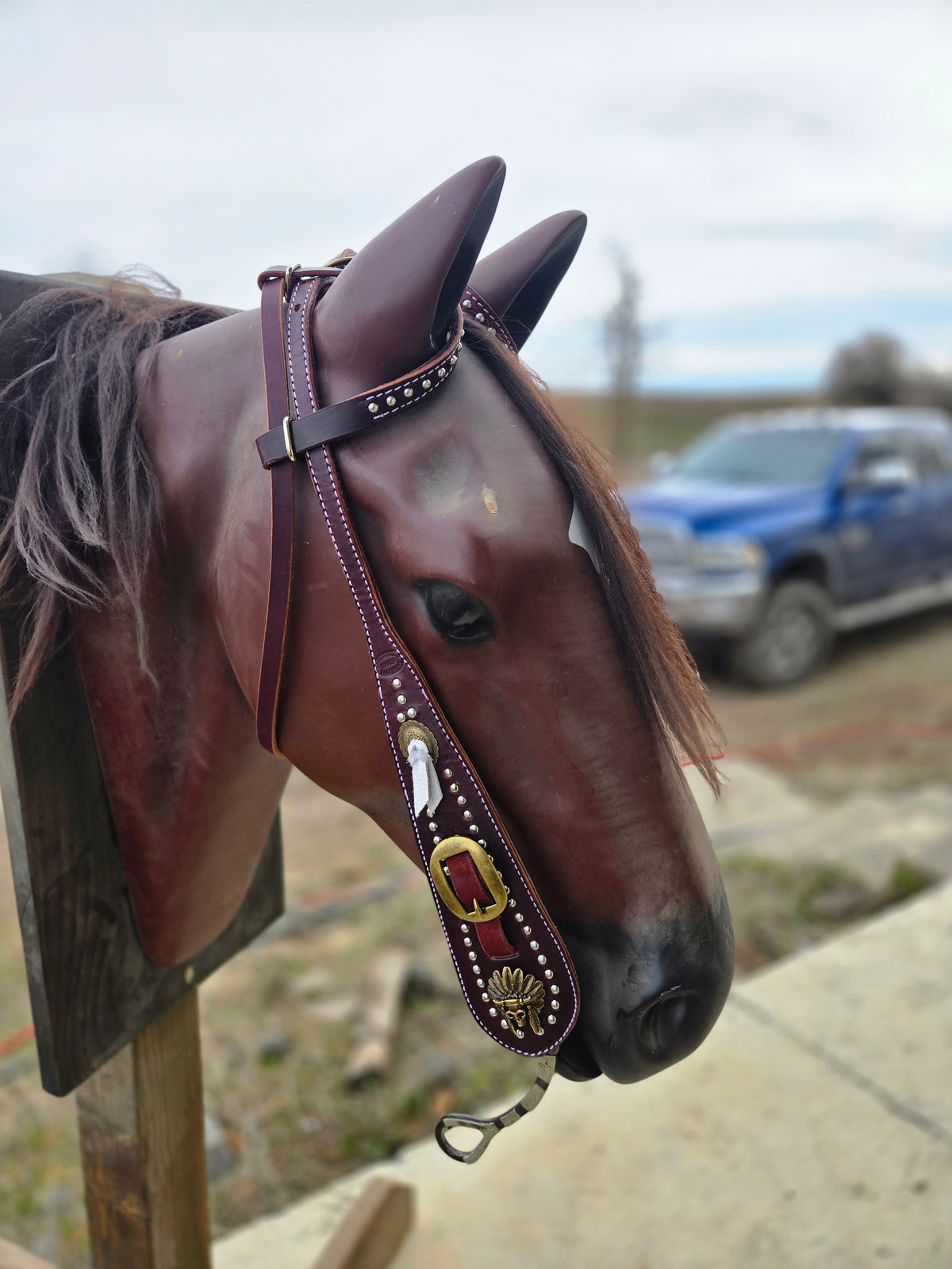 Custom 2 Ear Buckaroo Headstall