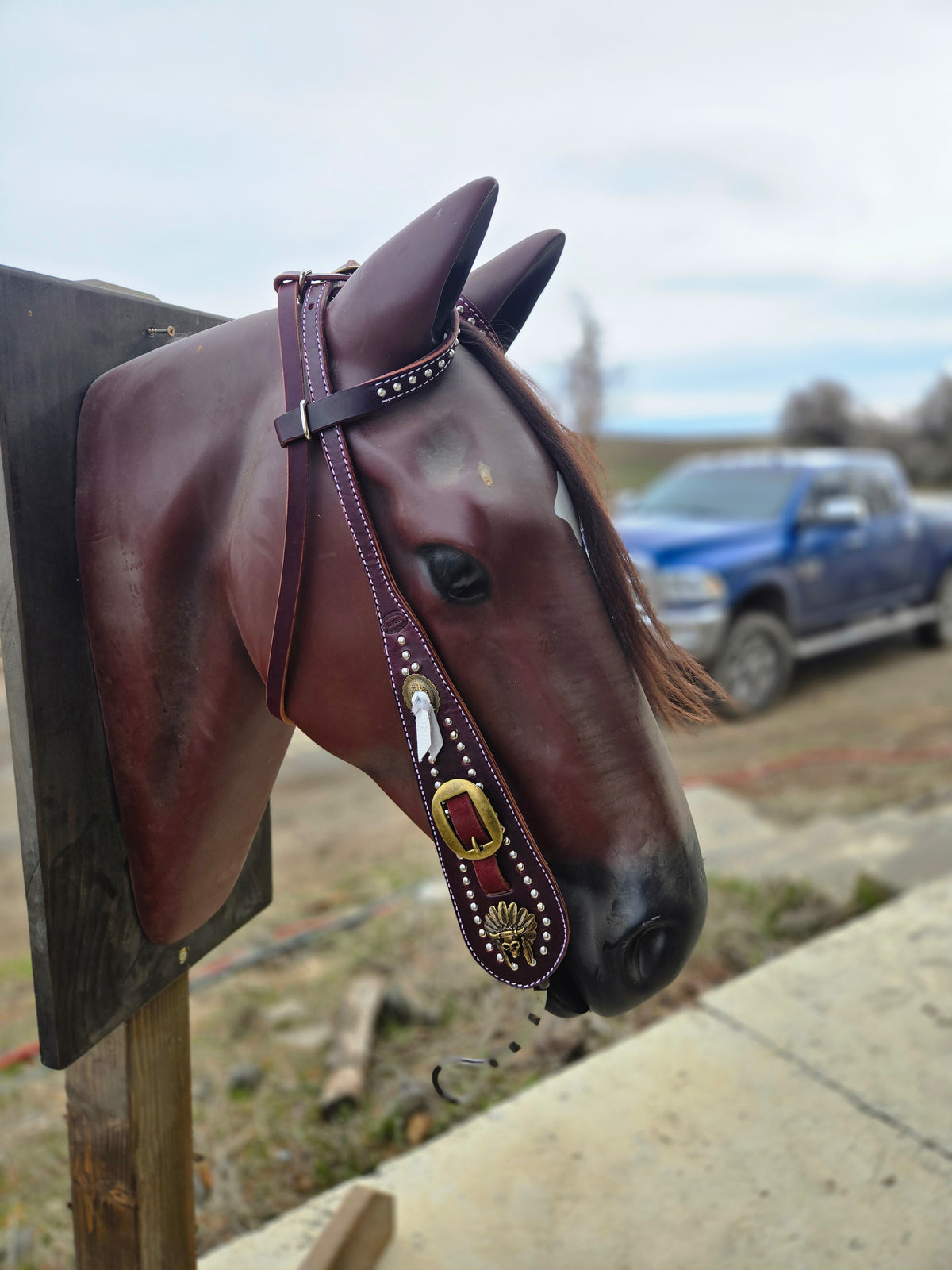Custom 2 Ear Buckaroo Headstall