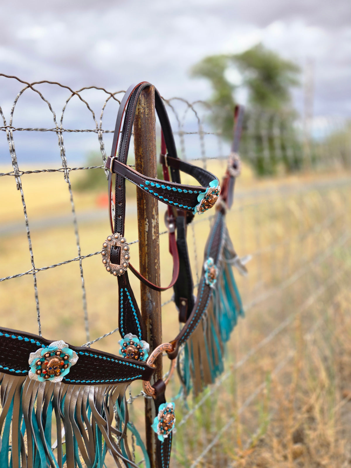 Custom Double Fringe Tack Set