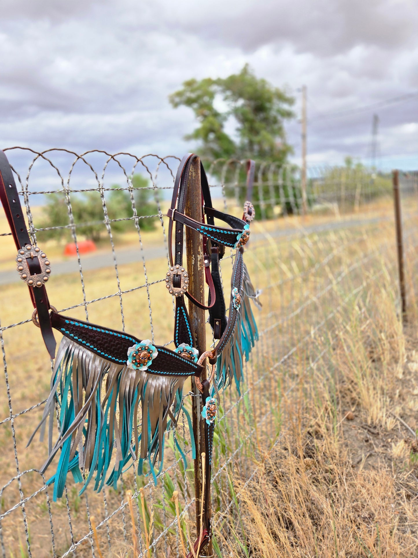 Custom Double Fringe Tack Set