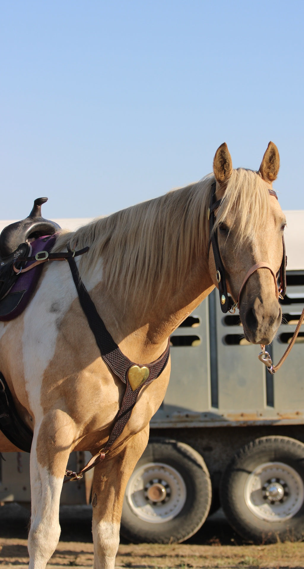 Brass Heart Martingale Set