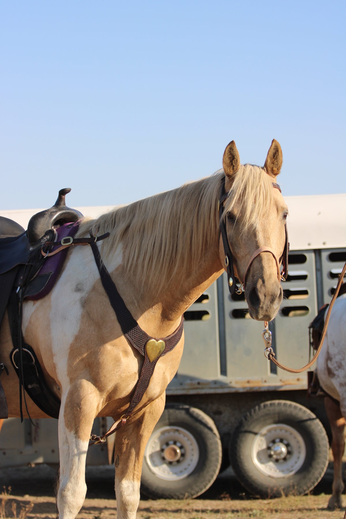 Brass Heart Martingale Set