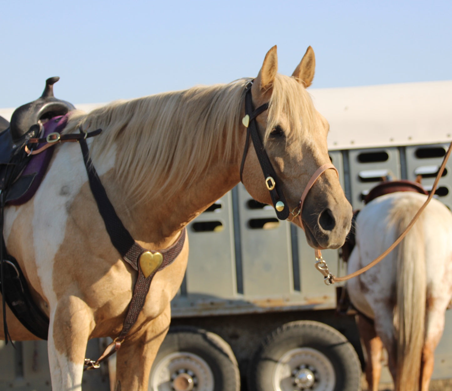 Brass Heart Martingale Set