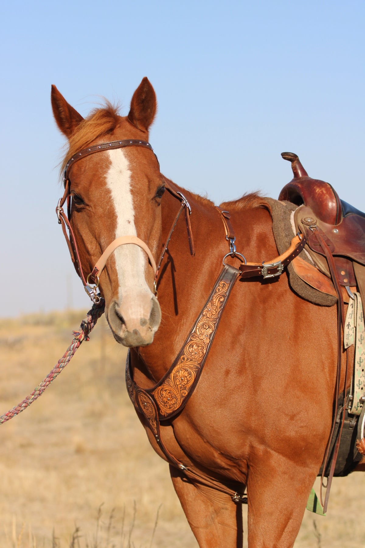 Tooled Martingale