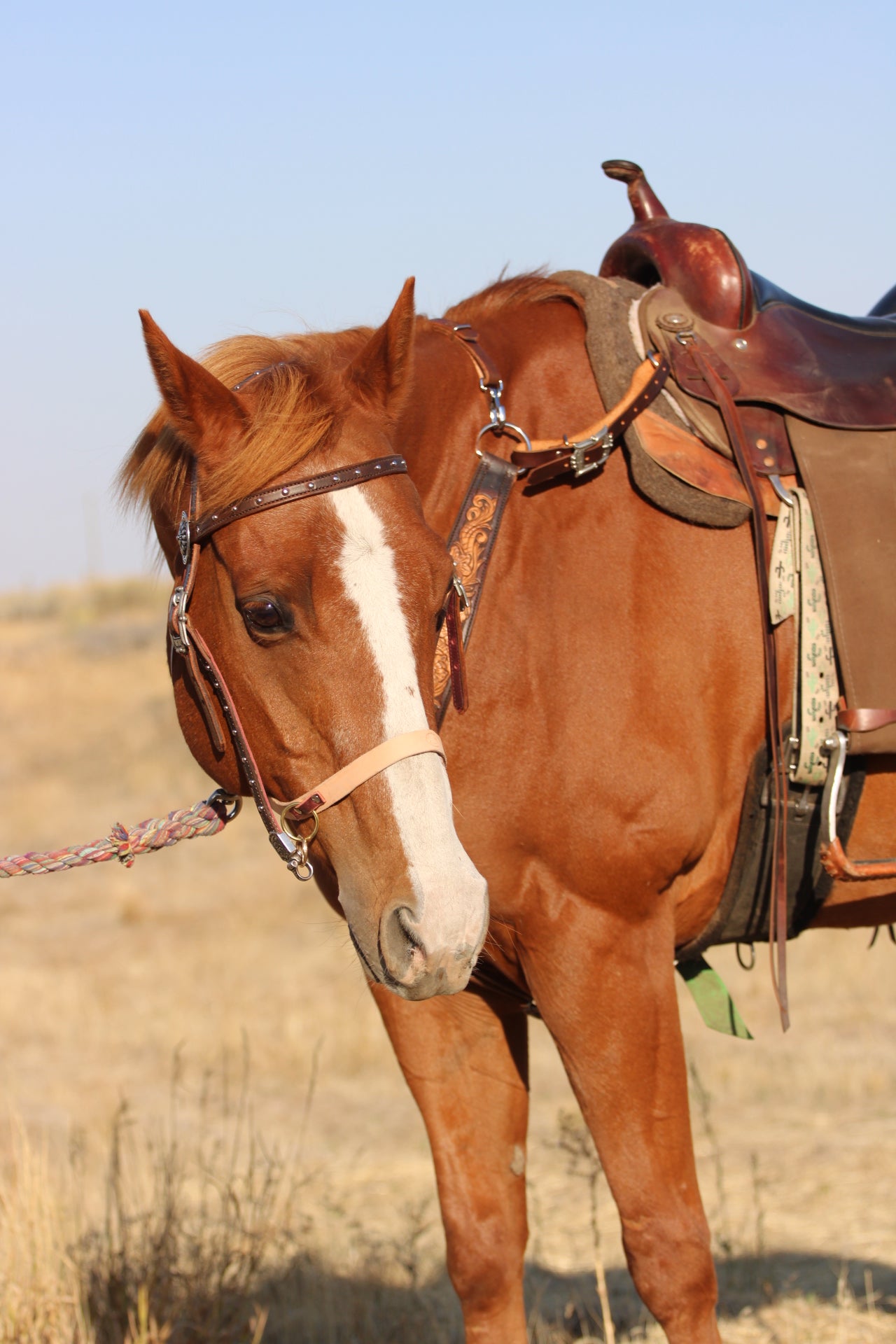 Tooled Martingale