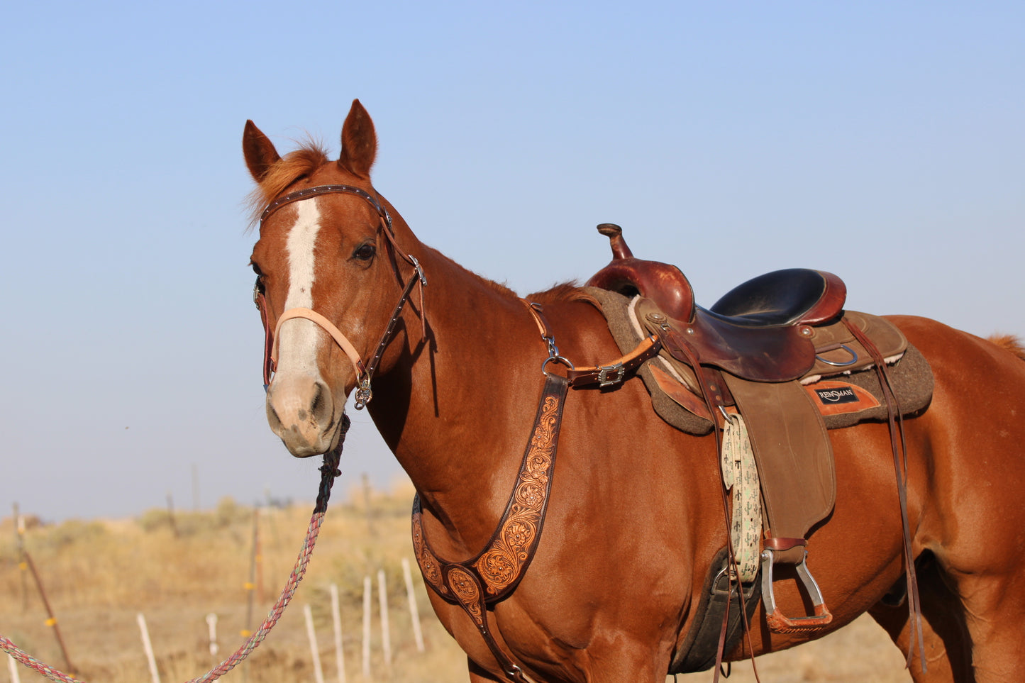 Tooled Martingale
