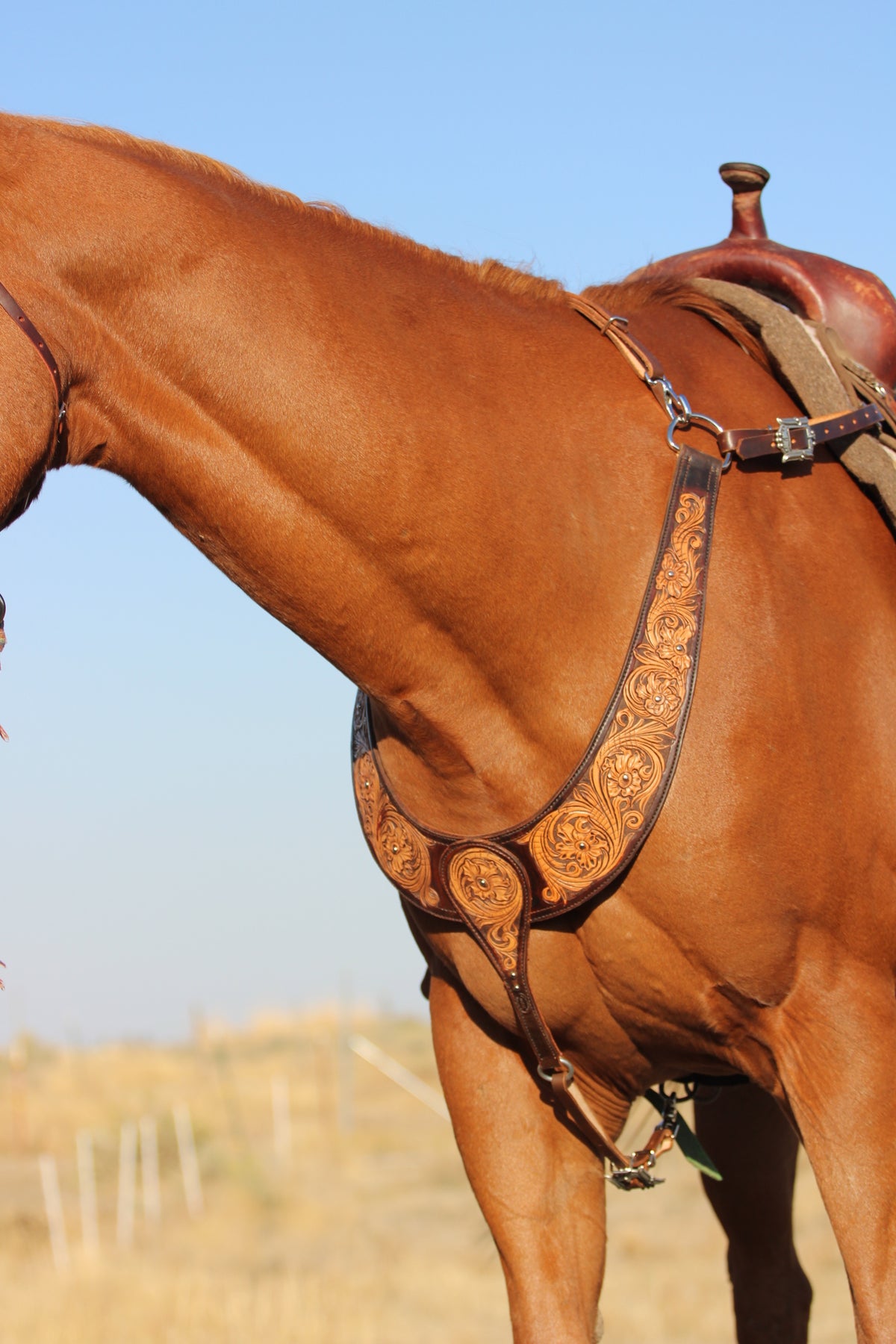 Tooled Martingale