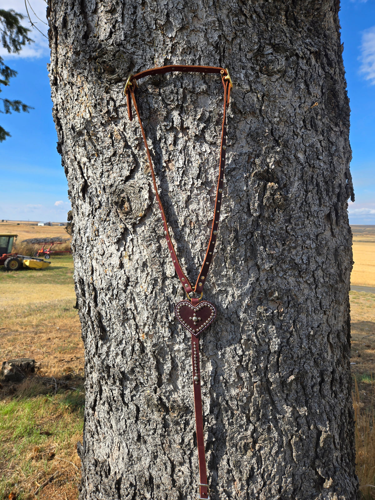 Vintage Choker