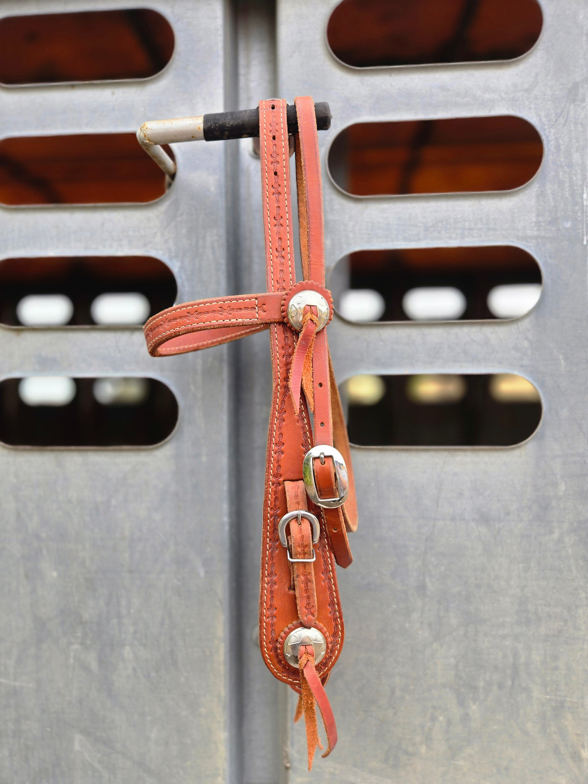 Barbed Wire Browband Headstall