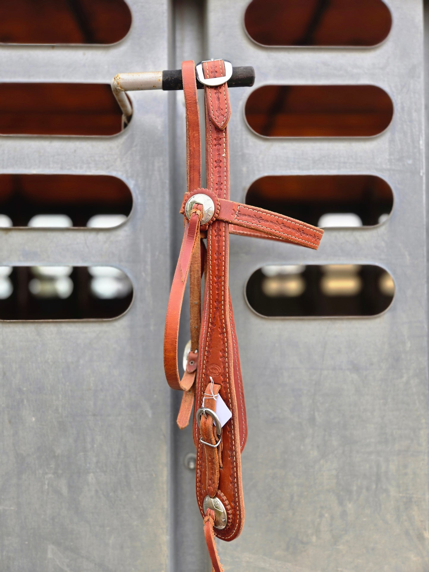 Barbed Wire Browband Headstall