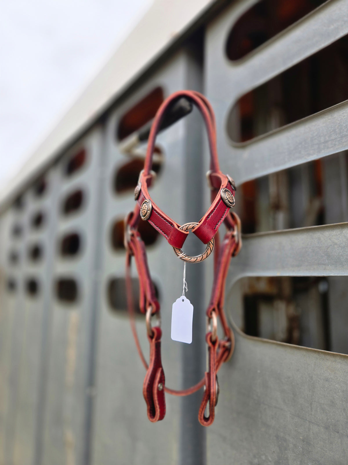 Copper Ring Headstall