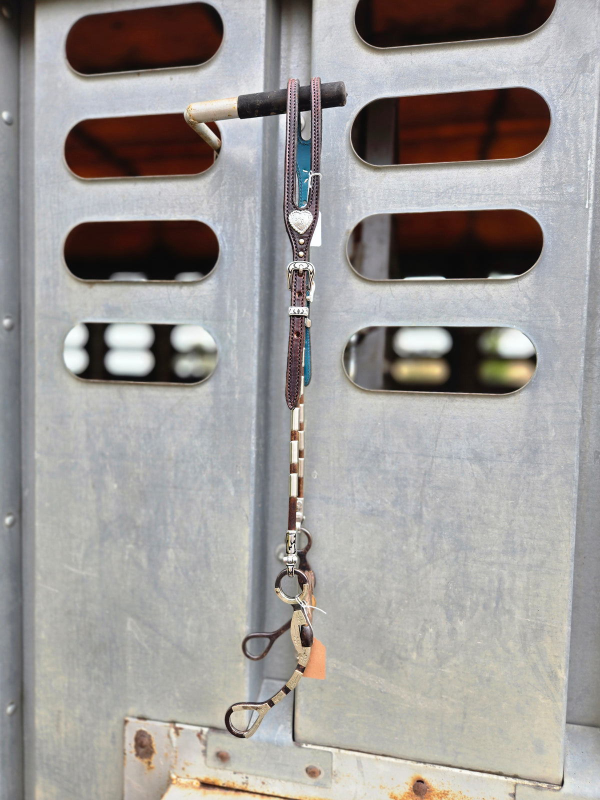 Ferrule Headstall