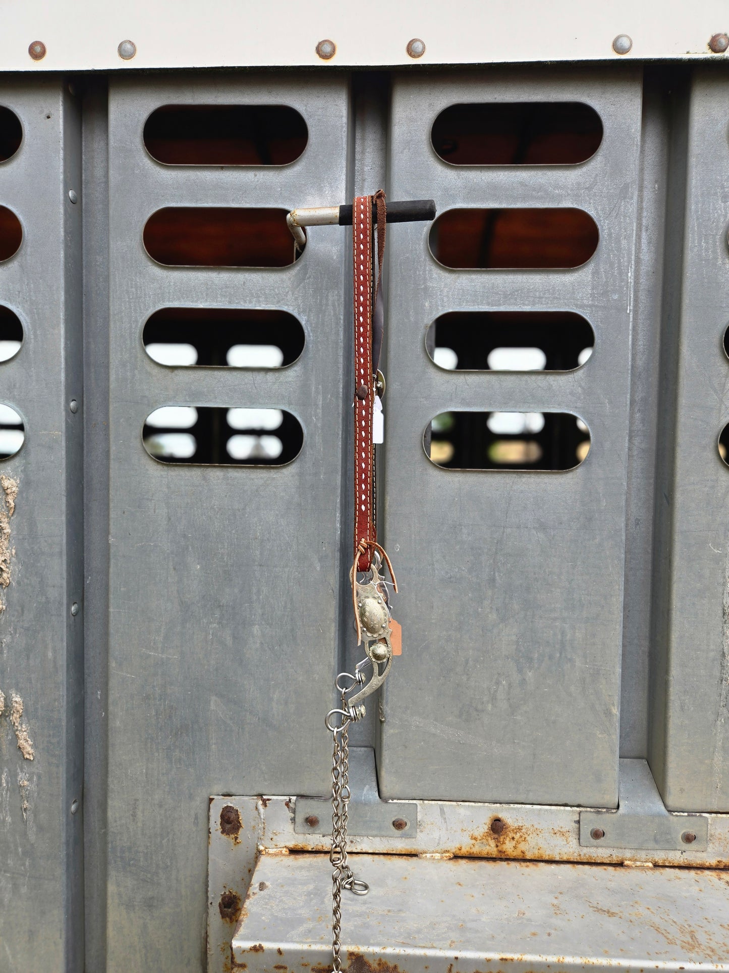 Roughout 1 Ear Headstall