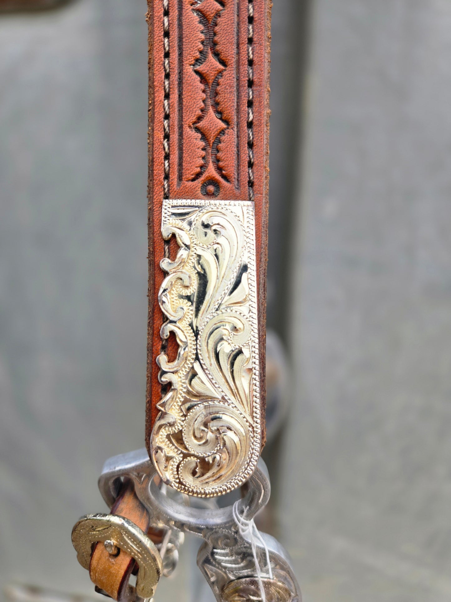 Show Headstall & Bit