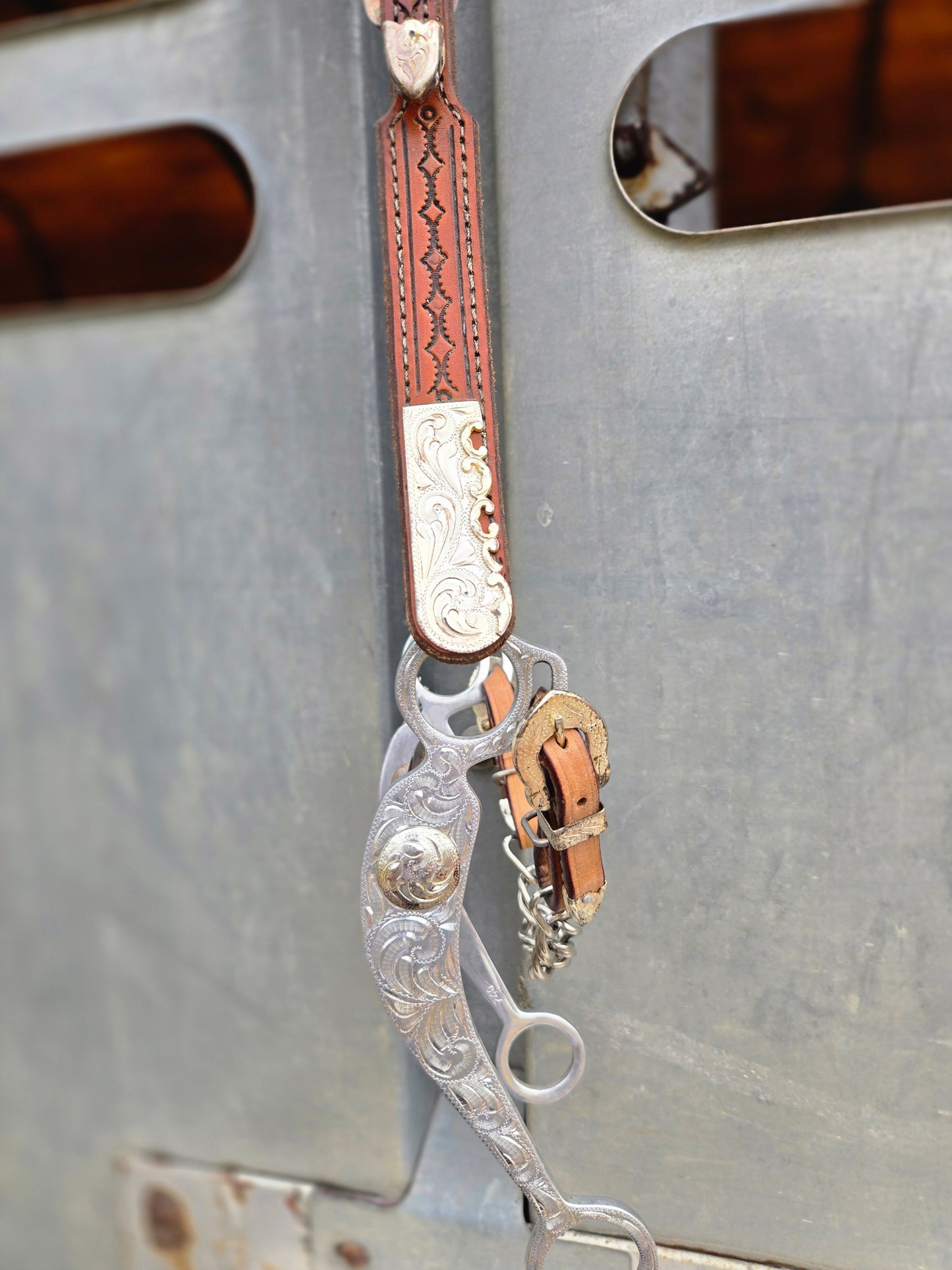 Show Headstall & Bit