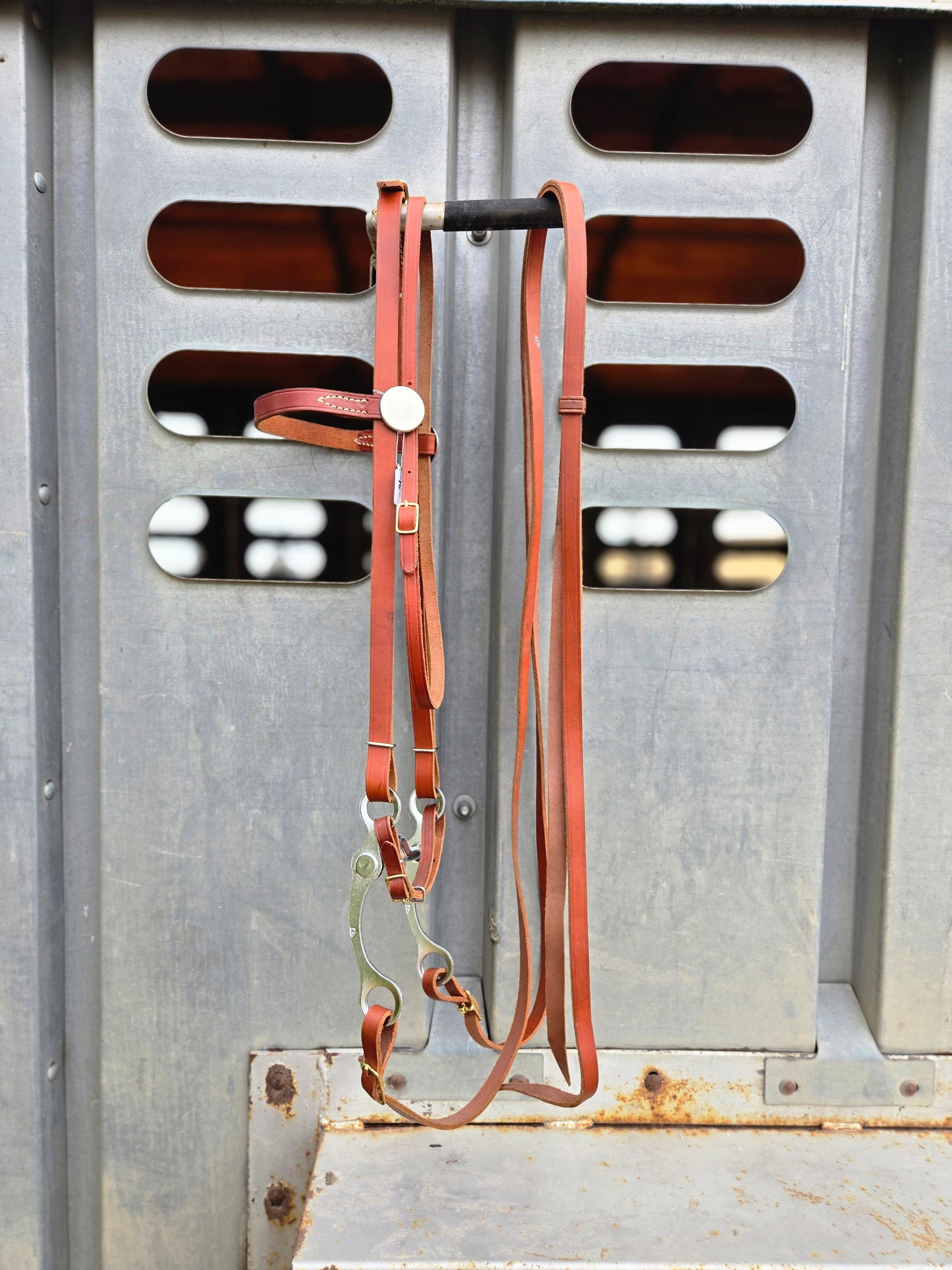 Vintage Headstall, Bit & Reins