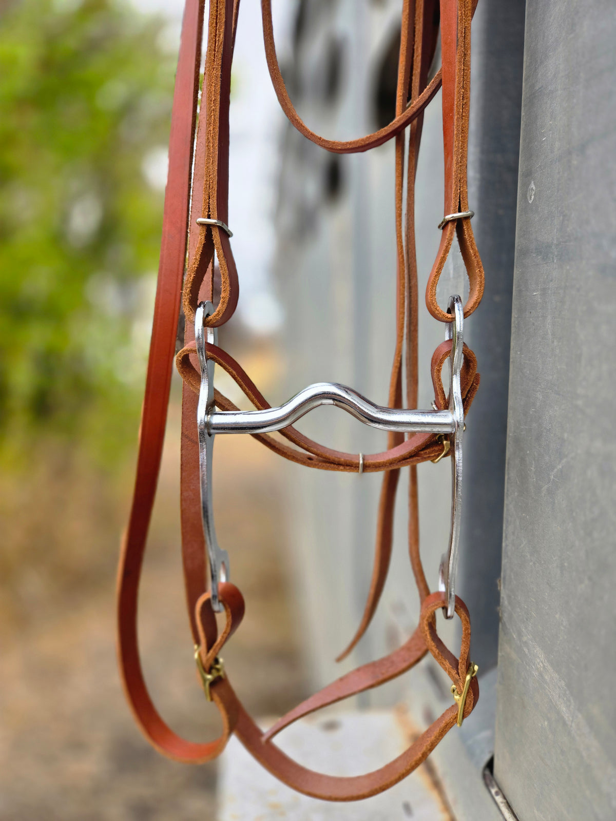 Vintage Headstall, Bit & Reins